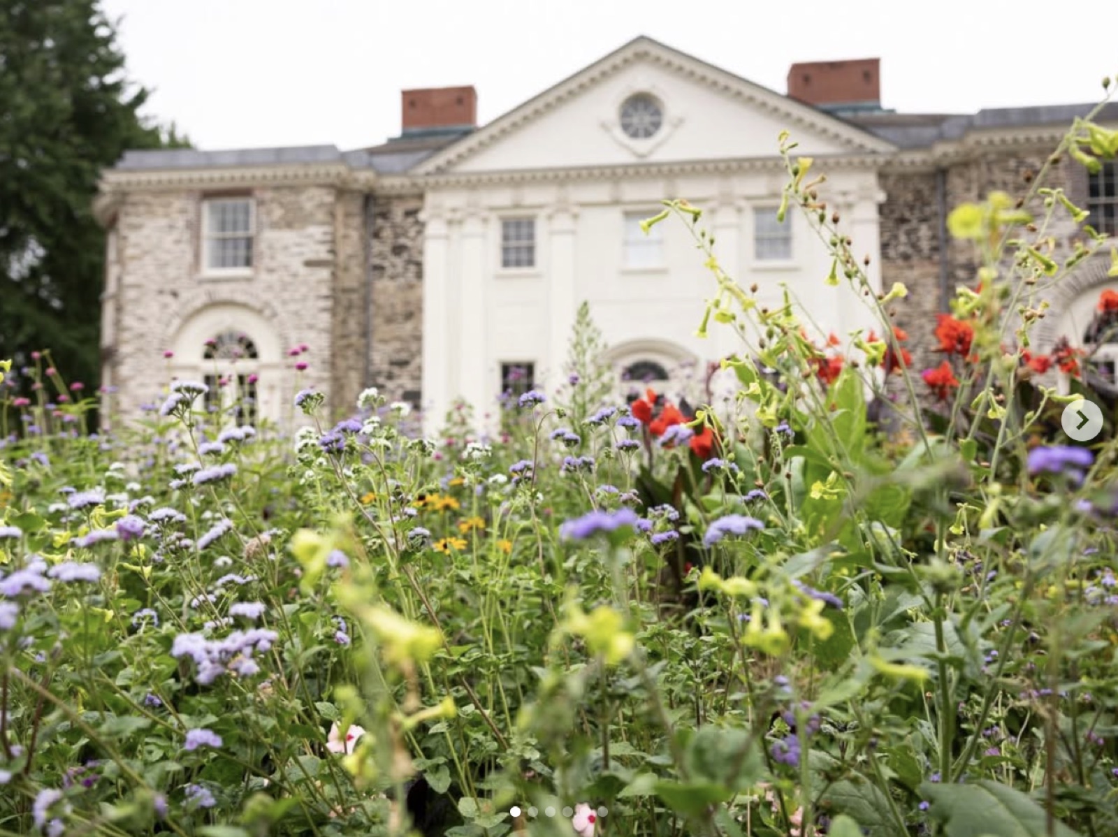 Wildflower garden in front of The Woodlands mansion